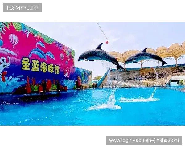 探索金沙度假区官网提供的丰富娱乐项目与度假体验指南