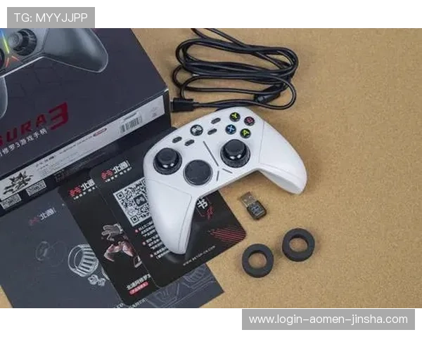 金沙电子赌城登陆入口全攻略帮助新手快速注册登录畅享丰富游戏内容与优惠活动