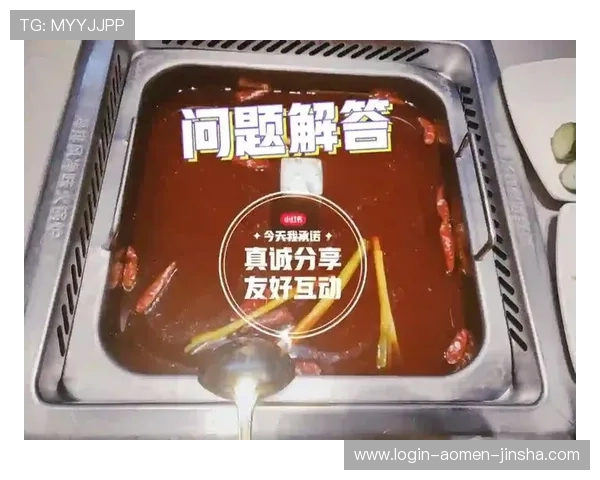 金沙城官网登录入口常见问题解答，确保您的登录体验更加顺畅