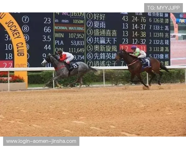 专业澳门赛马赛事资讯平台为用户提供赛马历史、赛事分析与投注指南