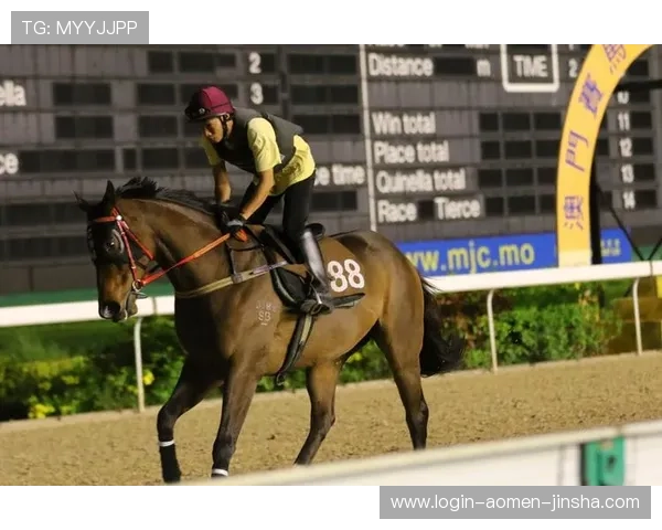 掌握澳门赛马时间表2024,帮助你合理规划观看和投注时间 掌握澳门赛马时间表2024,帮助你合理规划观看和投注时间